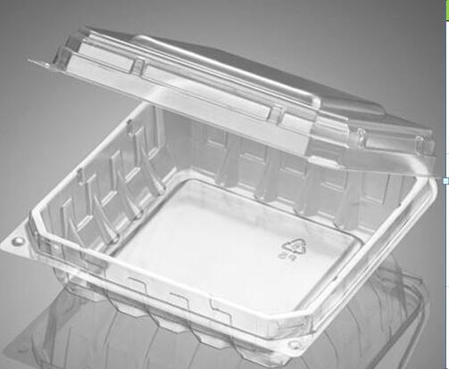 Hinged Container