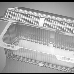 Hinged Container